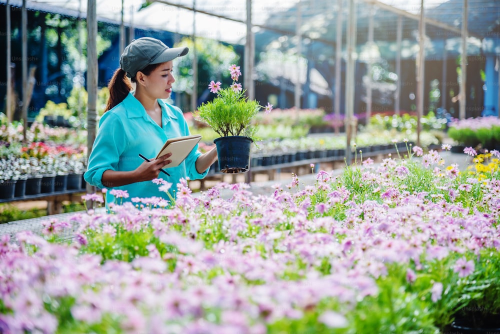 Young women working at the flower garden are studying and writing records of the changes of flower trees. Flower garden background