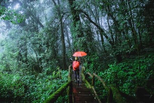 Asian women travel relax Nature Study in the Jungle at Chiangmai in Thailand.