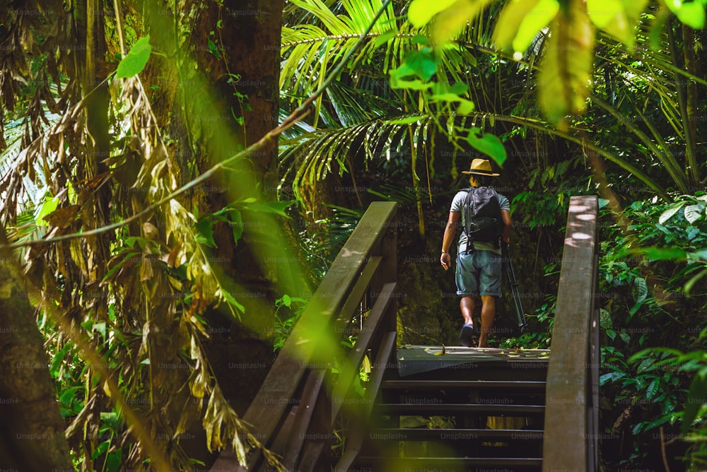 Männer wandern, reisen, fotografieren die Natur im Urlaub. Naturstudie im Wald. Wanderer wandern im Wald. Reisen entlang des Regenwaldes. Ein Mann mit Rucksack unterwegs in einem tropischen Wald.