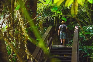 Gli uomini fanno trekking, viaggiano, fotografano la natura durante le vacanze. Studio della natura nella foresta. Escursionisti che fanno escursioni nella foresta. Viaggiando lungo la foresta pluviale. Un uomo con uno zaino in viaggio in una foresta tropicale.