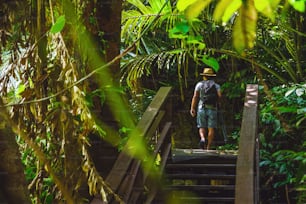 Men are trekking, traveling, taking pictures of nature on holidays. Nature Study in the forest. Hikers hiking in forest. Traveling along rain forest. A man with a backpack traveling in a tropical forest.