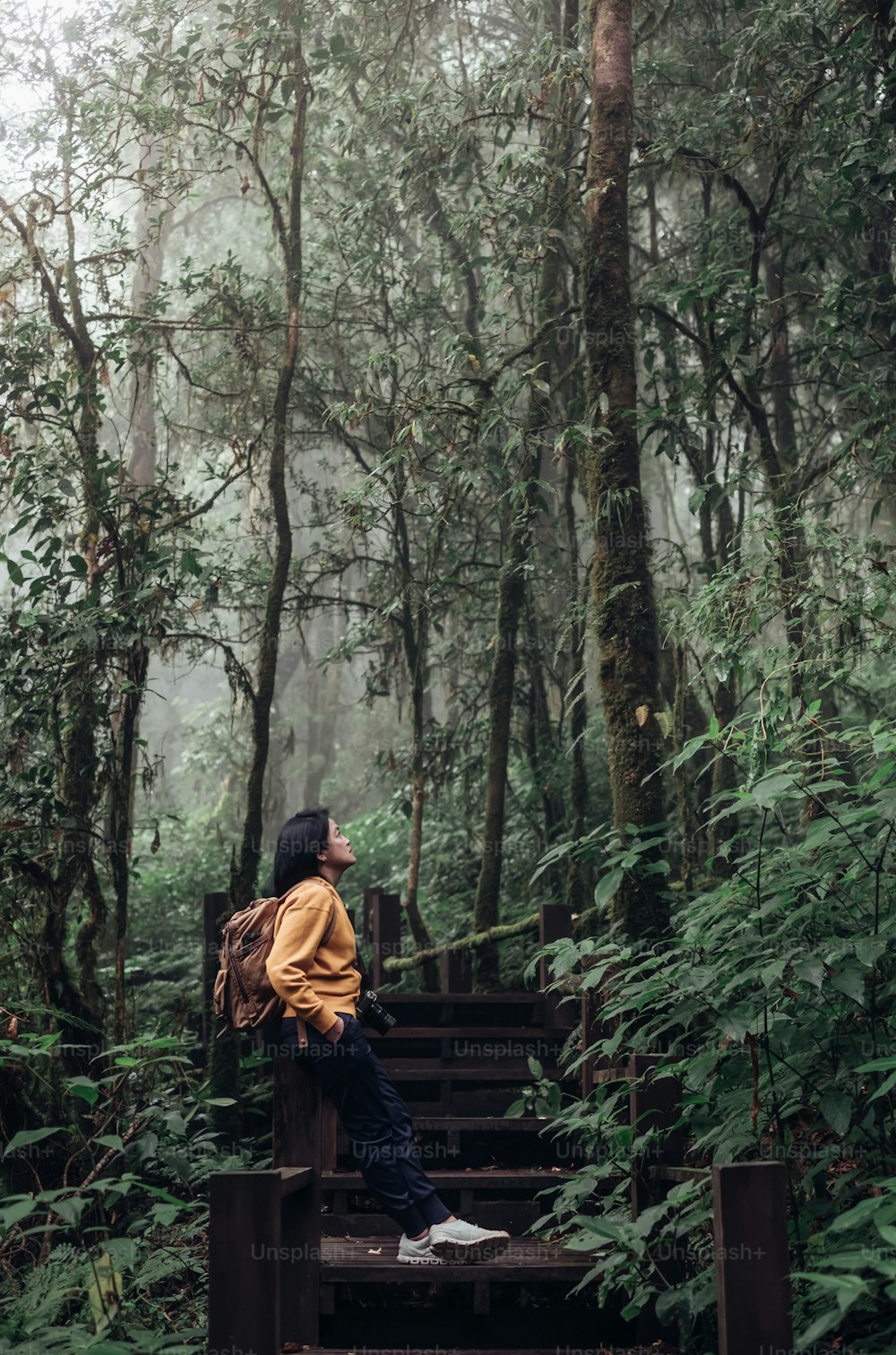 Asian woman backpacker looking at view in rain forest natural trail,nature calling concept