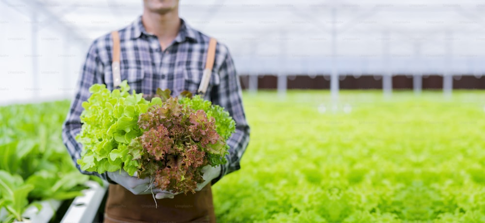 propietario asiático de una pequeña empresa invernadero hidropónico propietario de un negocio de granja toma de la mano un producto verde fresco de cosecha de verduras con alegría y felicidad, concepto de cultivo de verduras orgánicas y alimentos saludables