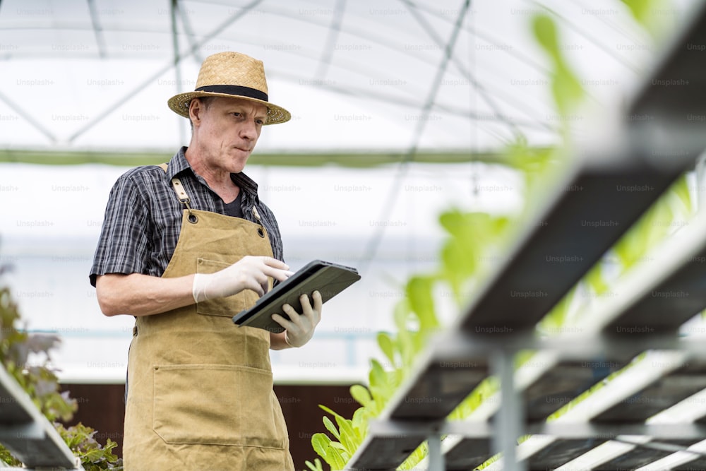 Caucasian male business owner observes about growing organic arugula on hydroponics farm.with tablet on aquaponic farm, sustainable business entrepreneurship,Concept of growing organic vegetable