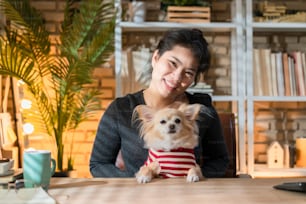 asian attractive female hand hug cuddle holding chihuahua cute lapdog working from home studio with happiness and cheerful,asian woman stay home and working with little dog friend together