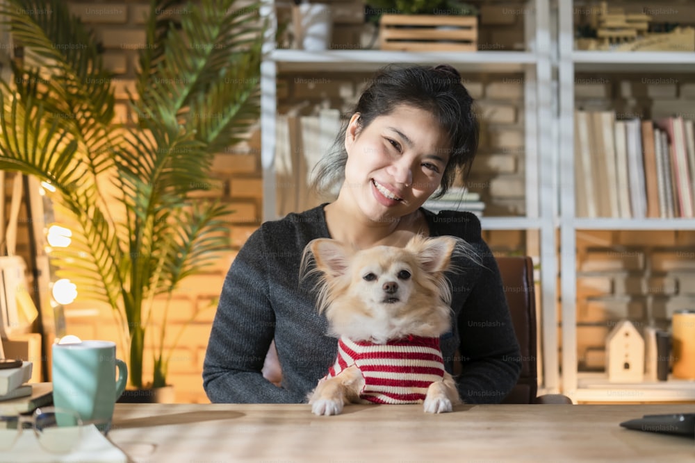 Asiático atractivo femenino abrazo de mano abraza sosteniendo chihuahua lindo perrito faldero que trabaja desde el estudio en casa con felicidad y alegre, mujer asiática se queda en casa y trabaja con un pequeño amigo perro juntos
