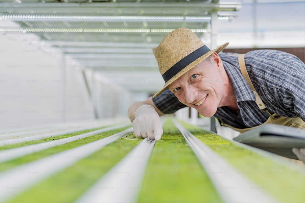 Caucasian male business owner observes about growing organic arugula on hydroponics farm.with tablet on aquaponic farm, sustainable business artificial lighting,Concept of growing organic vegetable
