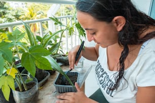 Uma mulher alegre jardineiro em seu terraço