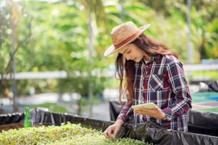 Hydroponics vegetable farm. Beautiful asian farmer studying hydroponic vegetable growing and analyzing. Concept of growing organic vegetables and health food.