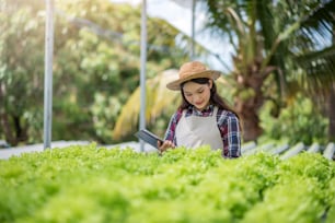 Hydroponics vegetable farm. Beautiful asian farmer studying hydroponic vegetable growing and analyzing. Concept of growing organic vegetables and health food.