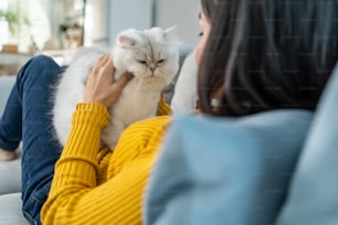 아시아 여자는 집에서 행복을 가진 작은 고양이를 안고 놀고 있습니다. 매력적인 아름다운 여성은 소파에 앉아 여가 자유 시간을 보내고 집안의 거실에서 온화한 애완 동물과 이야기합니다.