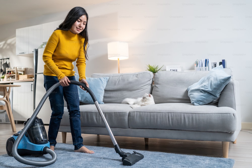Asian woman vacuuming dust and fur on sofa from little domestic cat. Attractive beautiful female using vacuum cleaning, doing housework and chores in living room and enjoy her pet animal at home.