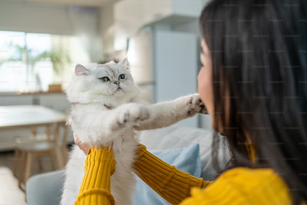 Asian woman holding and play with little cat with happiness at home. Attractive beautiful female sit on sofa, spend leisure free time and talk with her pet animal with gentle in living room in house.