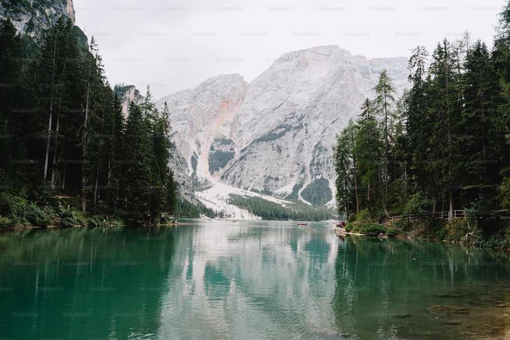 a body of water surrounded by trees and mountains