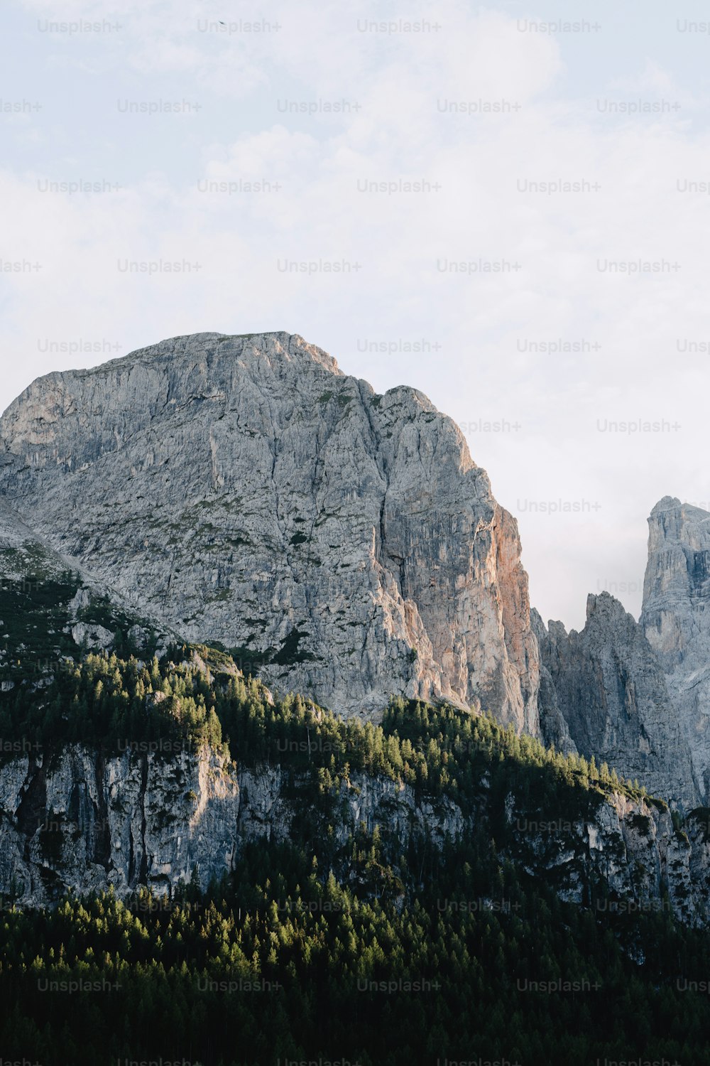 a large mountain with trees on the side of it