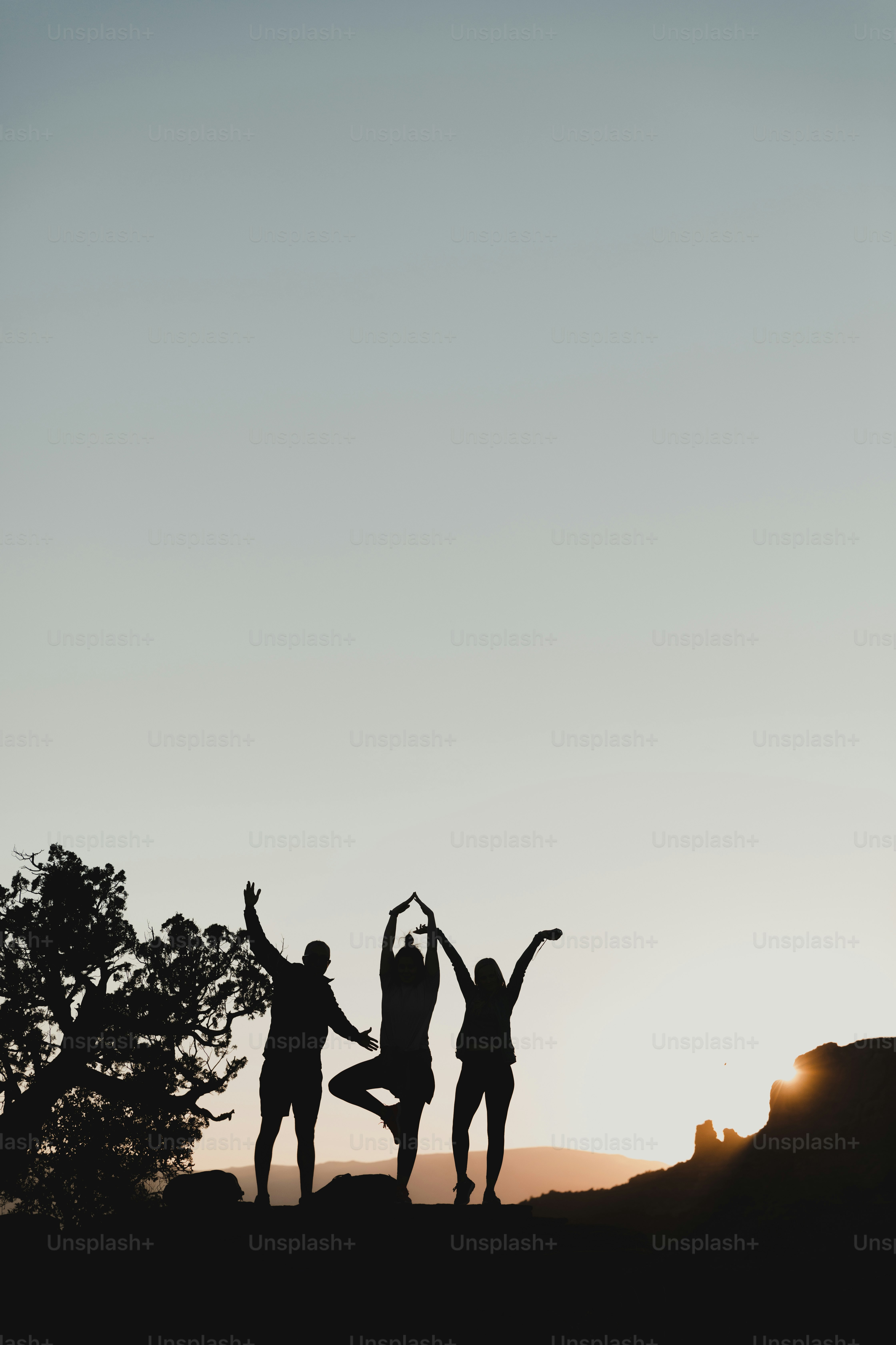 500+ Silhouette Pictures [HD] | Download Free Images on Unsplash