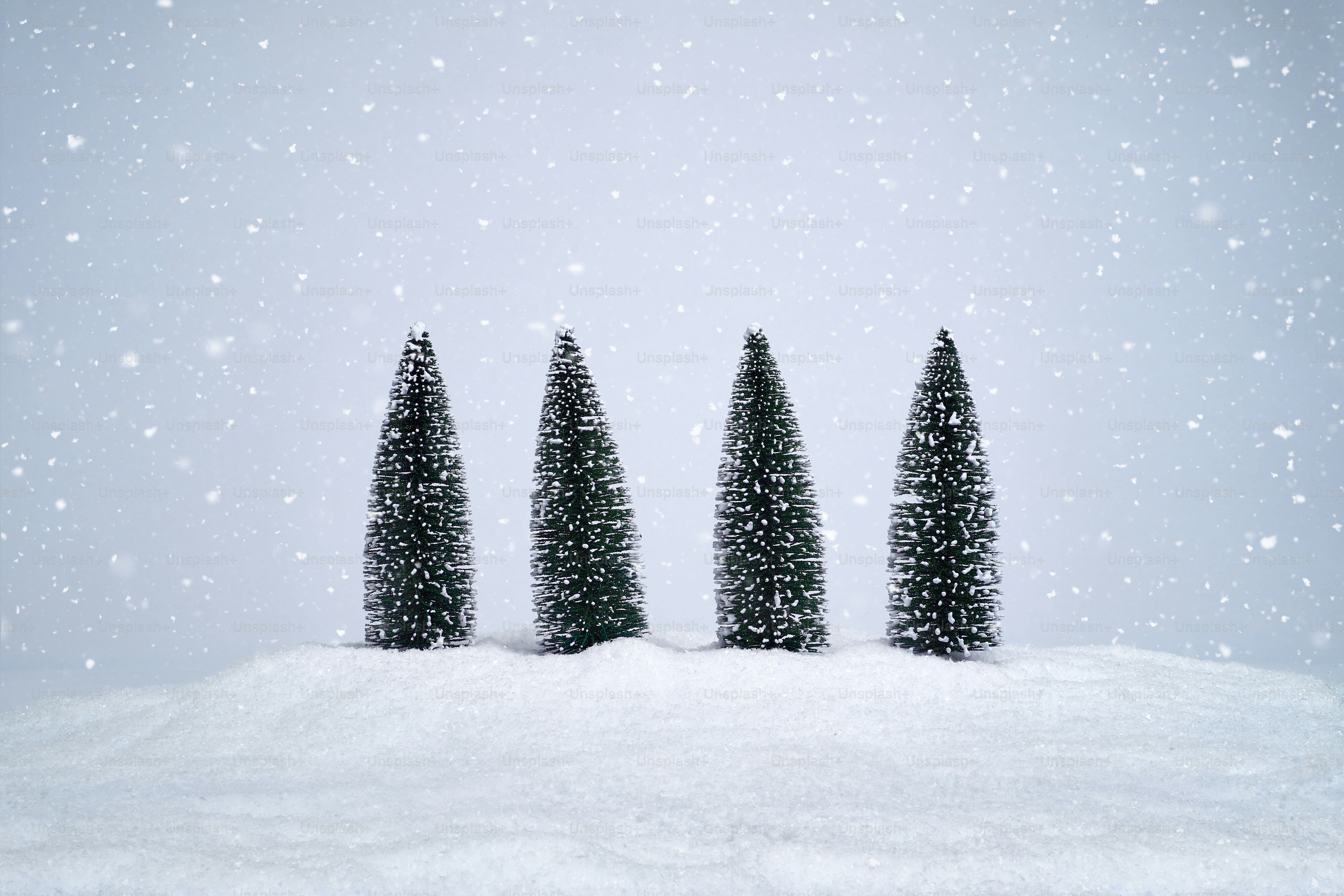 세 그루의 작은 나무가 눈 속에 서 있습니다