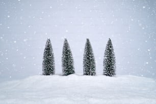 Trois petits arbres sont debout dans la neige