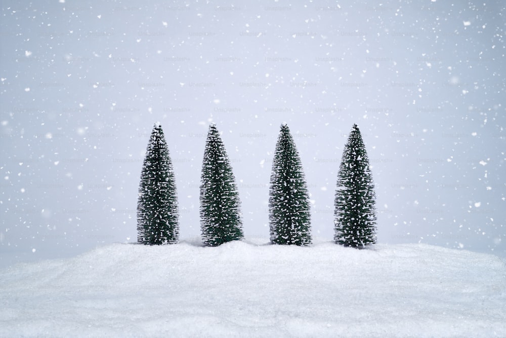 three small trees are standing in the snow
