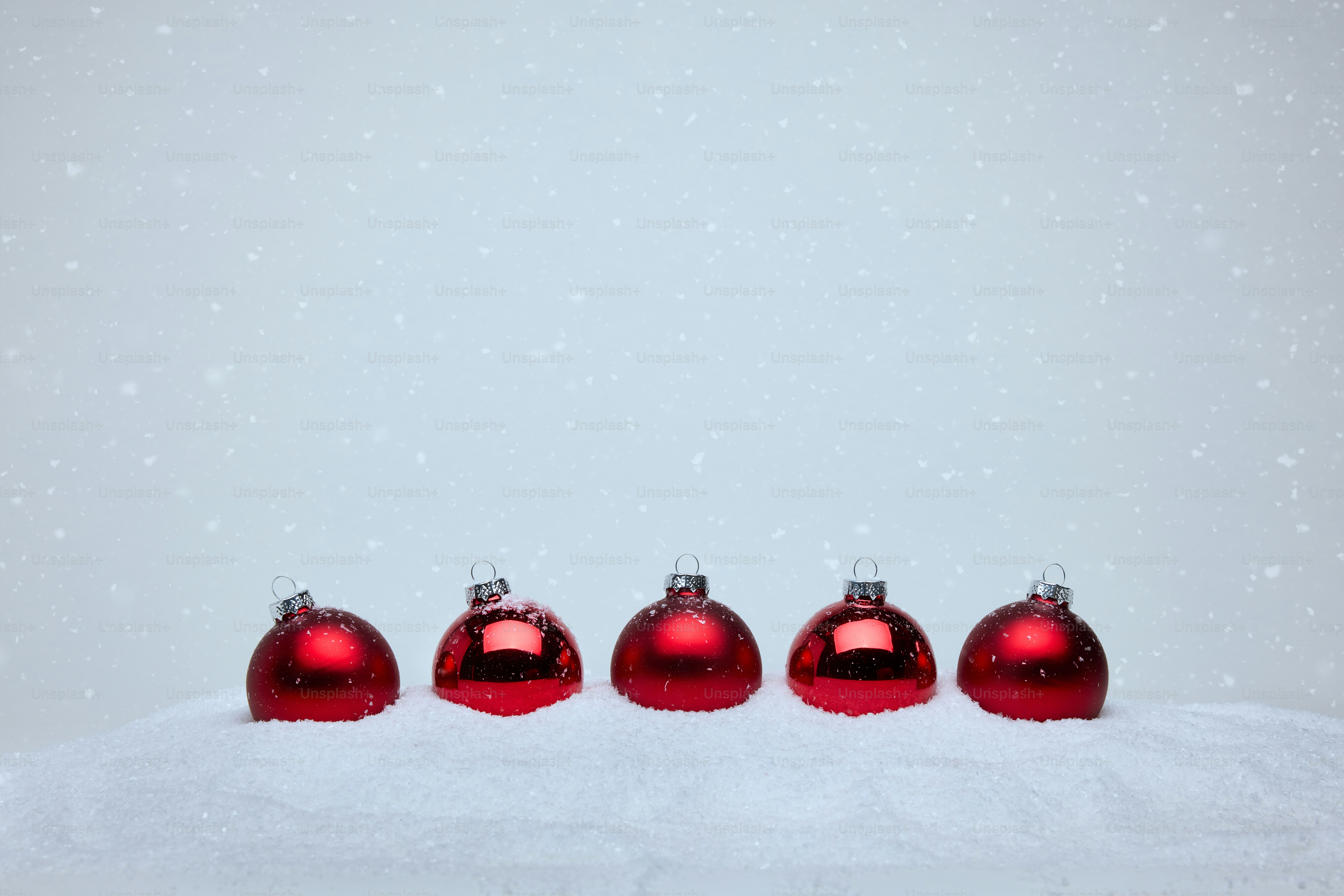 눈 덮인 땅 위에 앉아 있는 붉은 장신구 무리