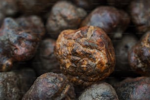 a close up of a bunch of rotten fruit