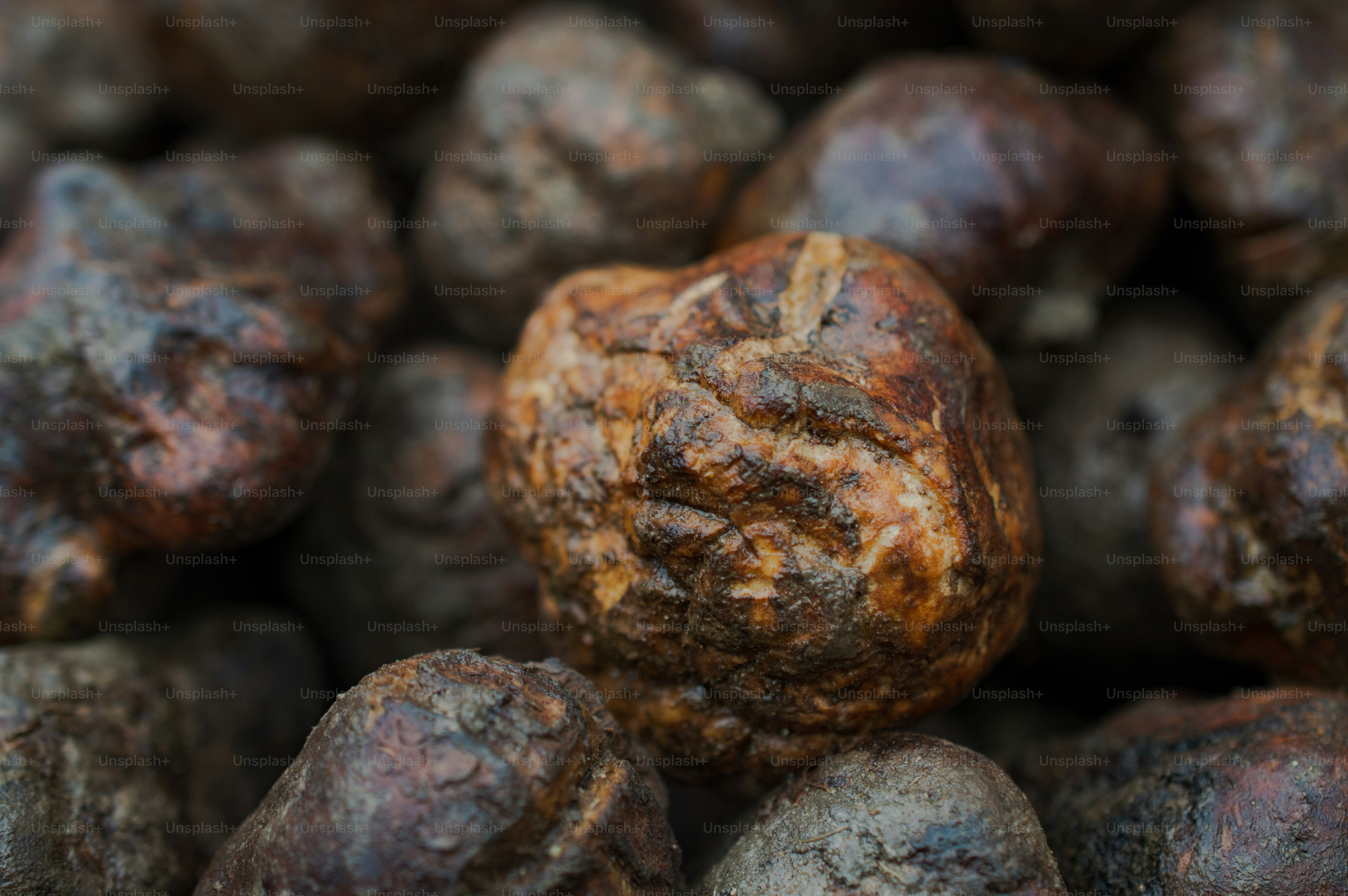 One of the highlights of Kurdish cuisine, fresh truffles sold in springtime in Erbil.