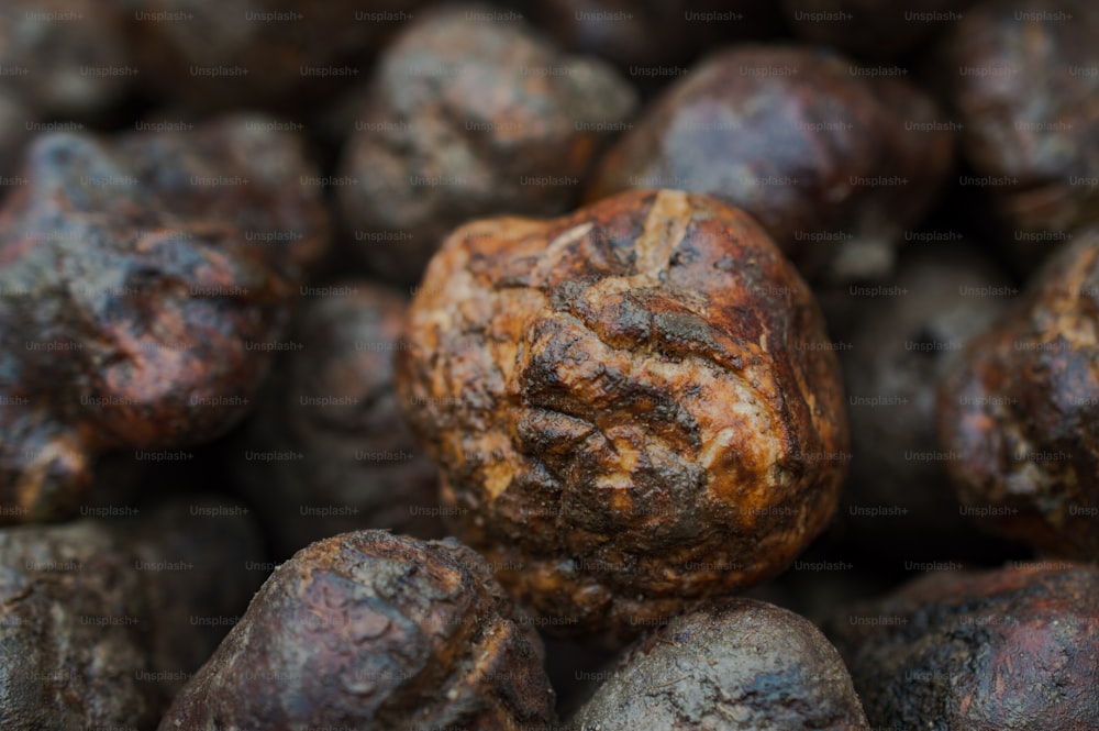 a close up of a bunch of rotten fruit