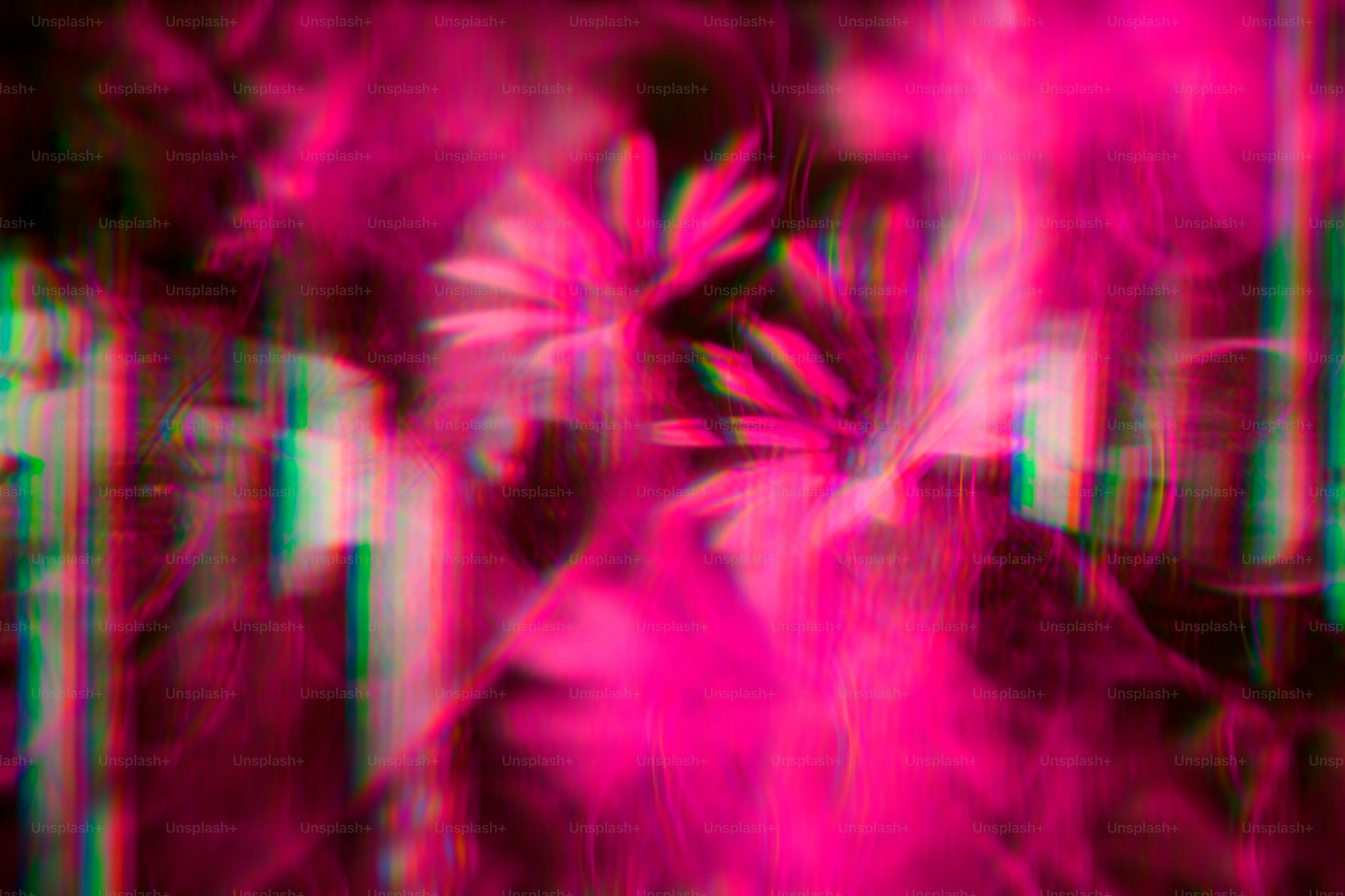 a blurry image of a bunch of flowers