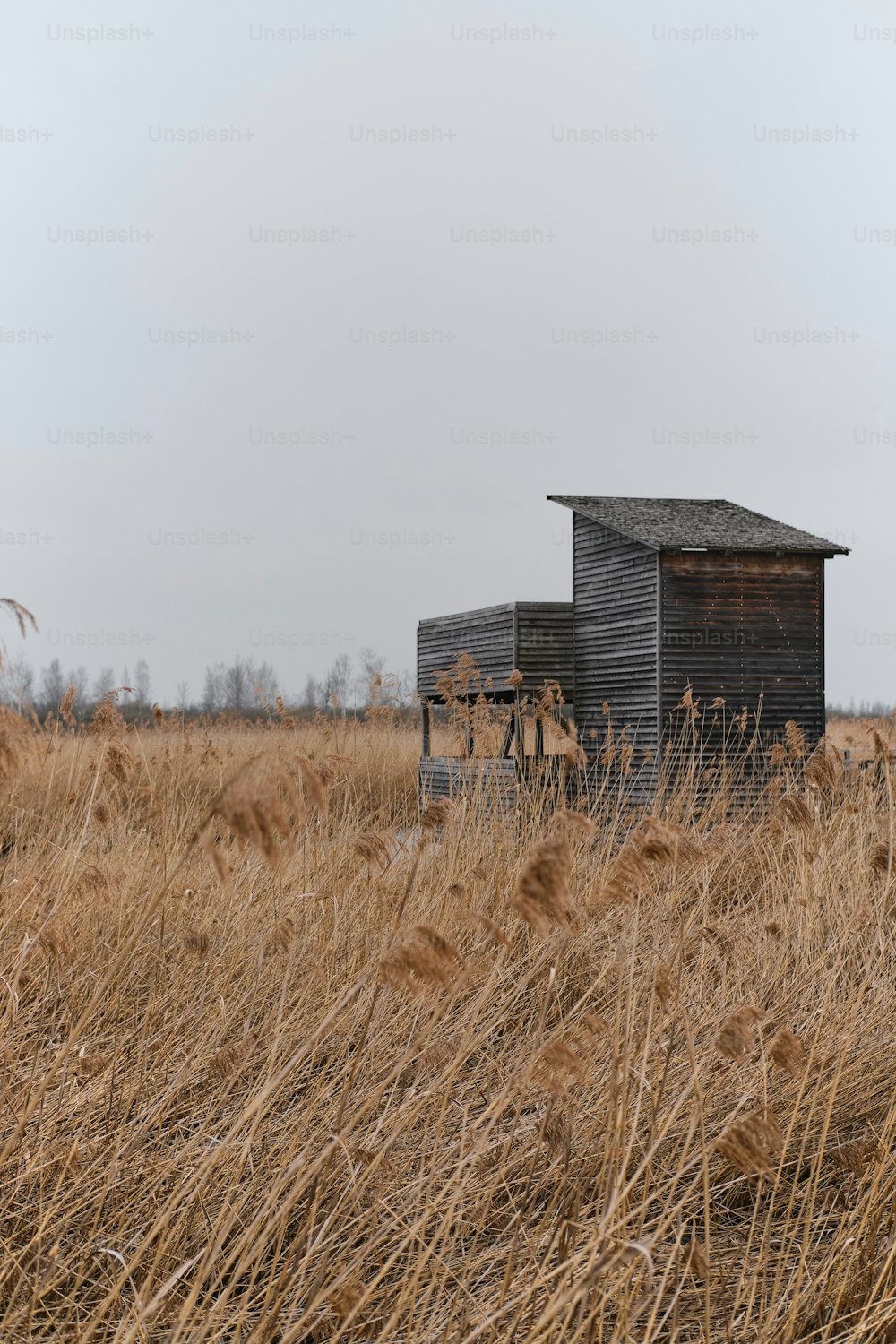an old shack sits in a field of tall grass