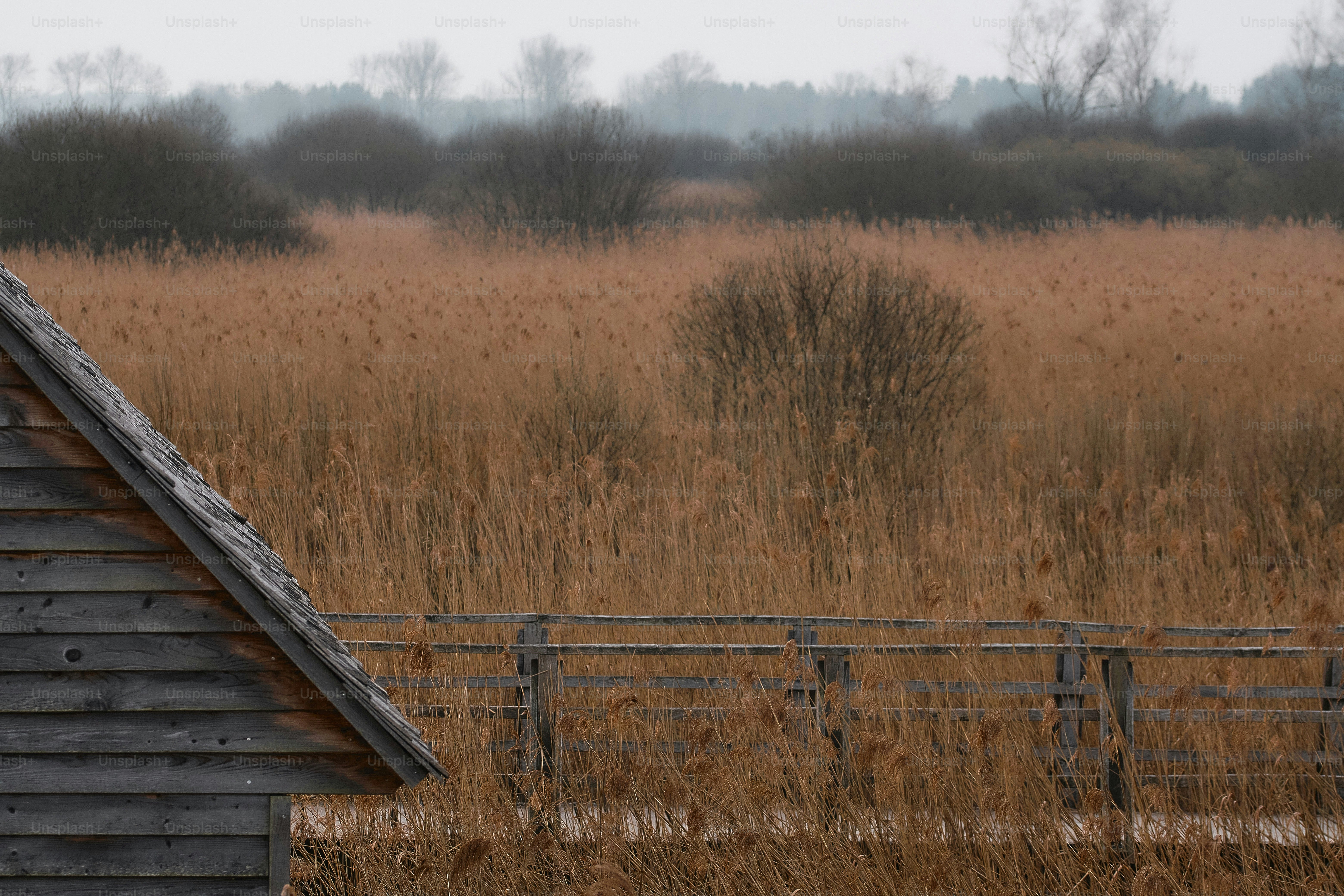 a barn in a field with a fence in front of it