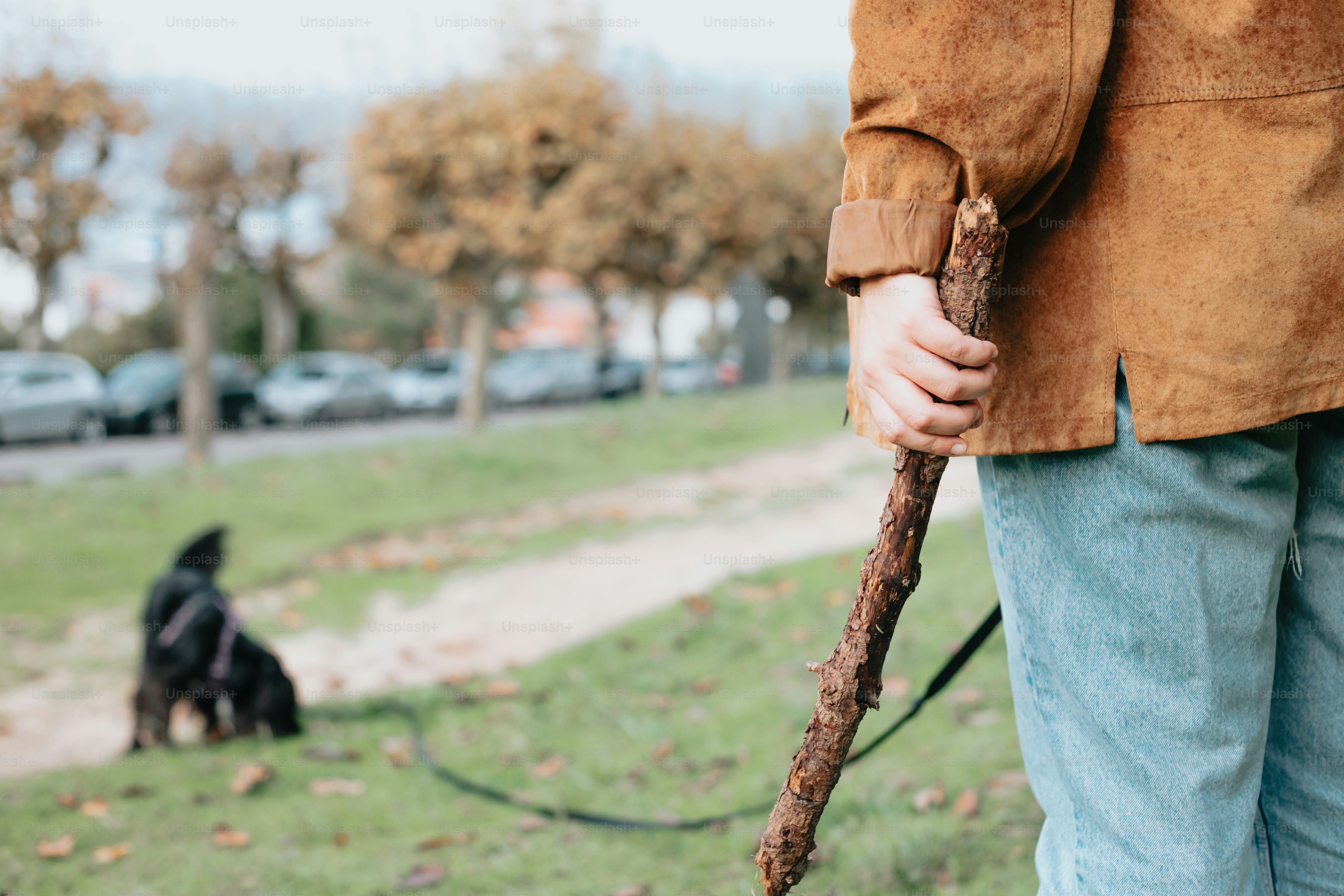 a person holding a stick with a dog in the background