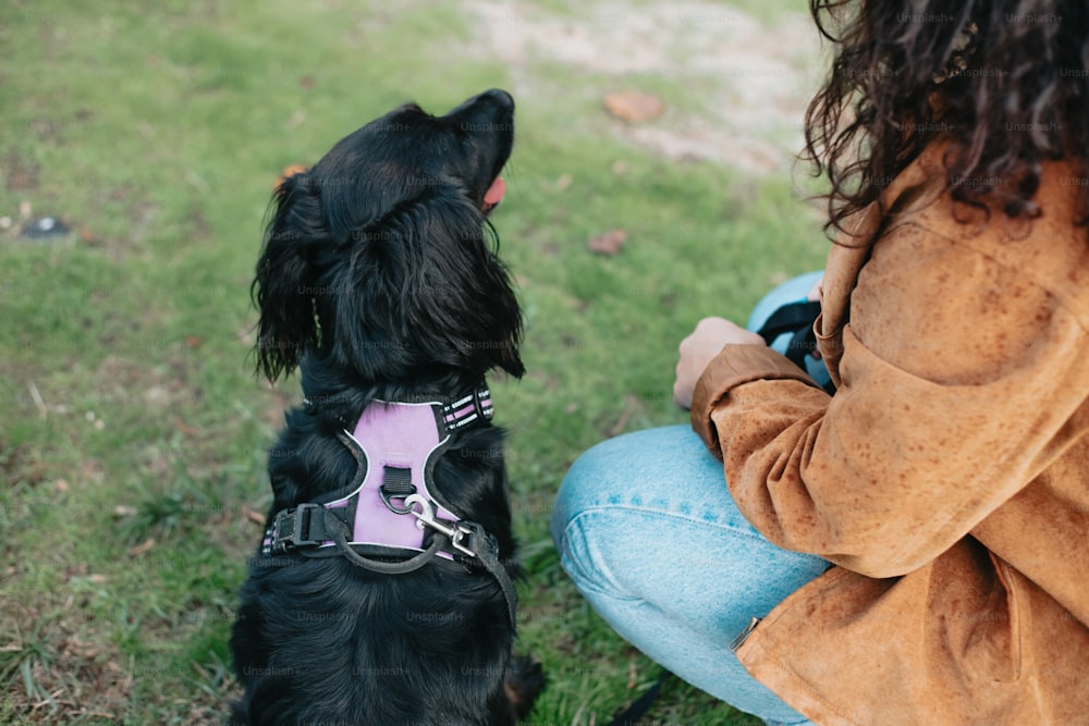 a small black dog sitting next to a woman