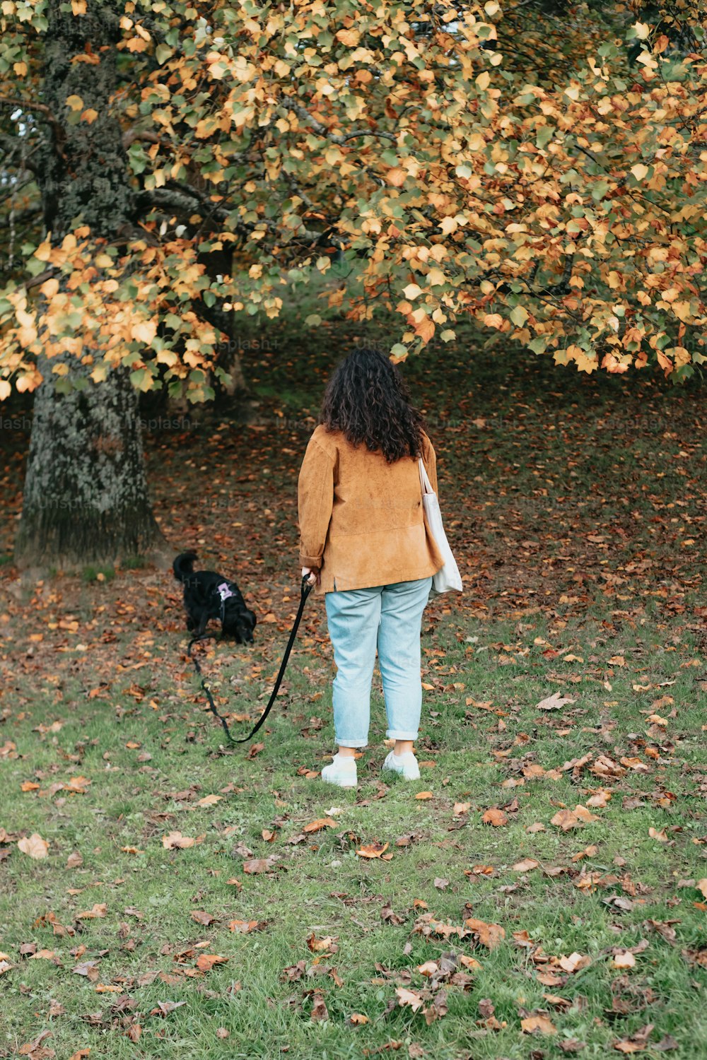 a little girl walking her dog in the park