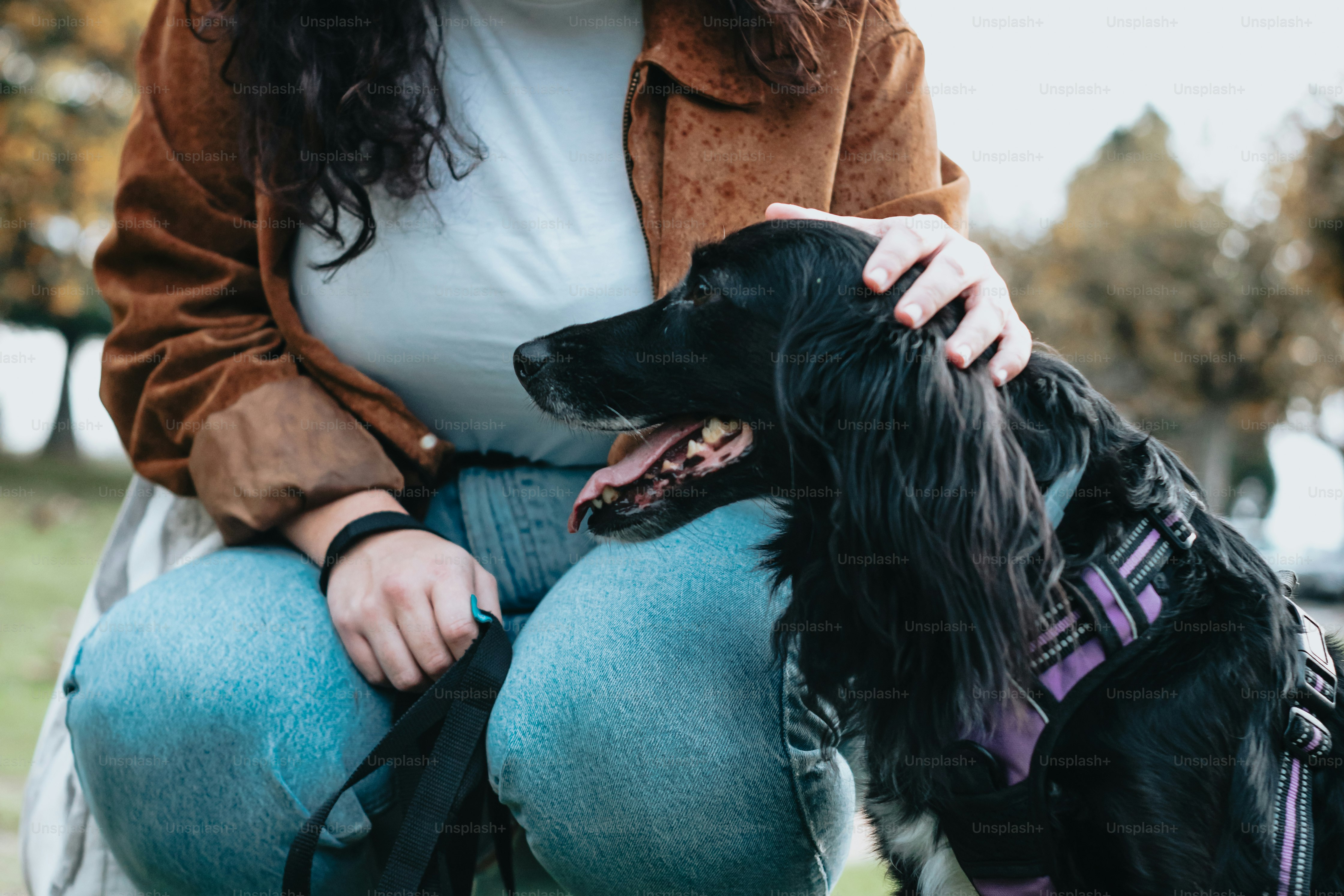 a woman sitting on the ground with a dog