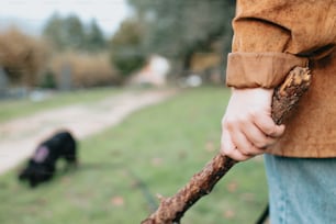 a person holding a stick with a dog in the background