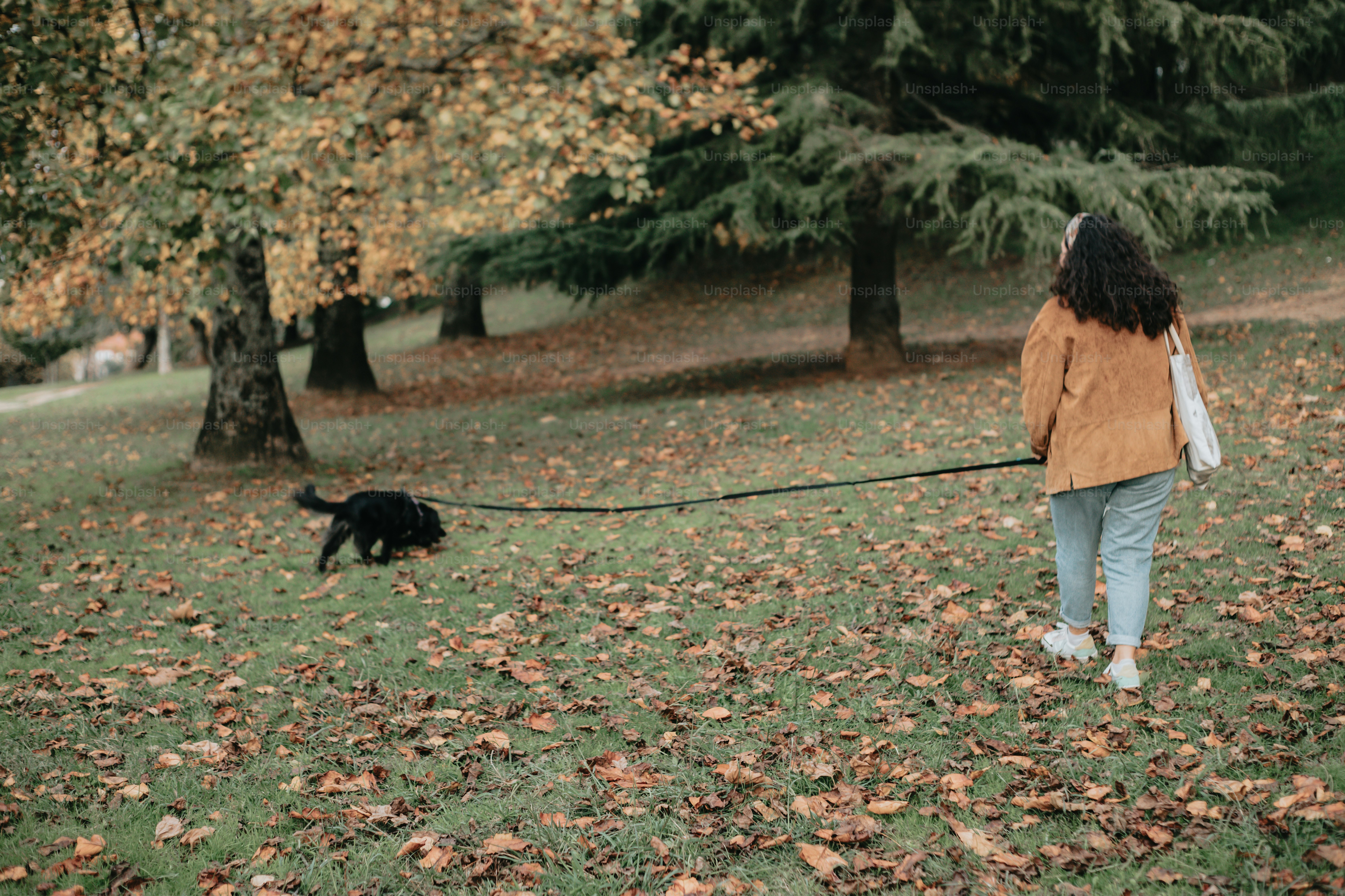 a woman walking a dog in a park