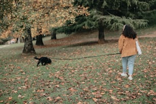 Eine Frau, die mit einem Hund in einem Park spazieren geht