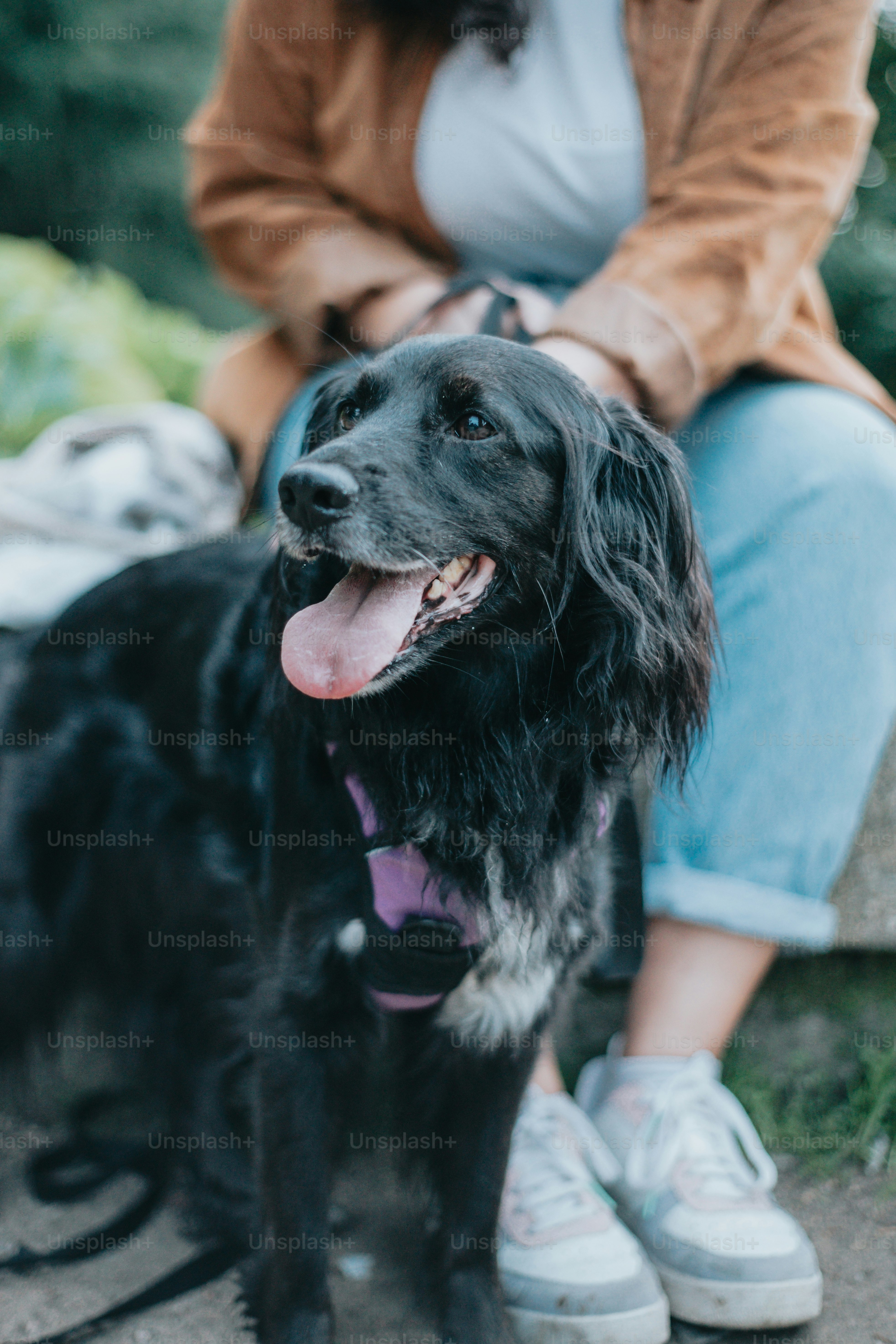 a woman sitting on a bench with her dog