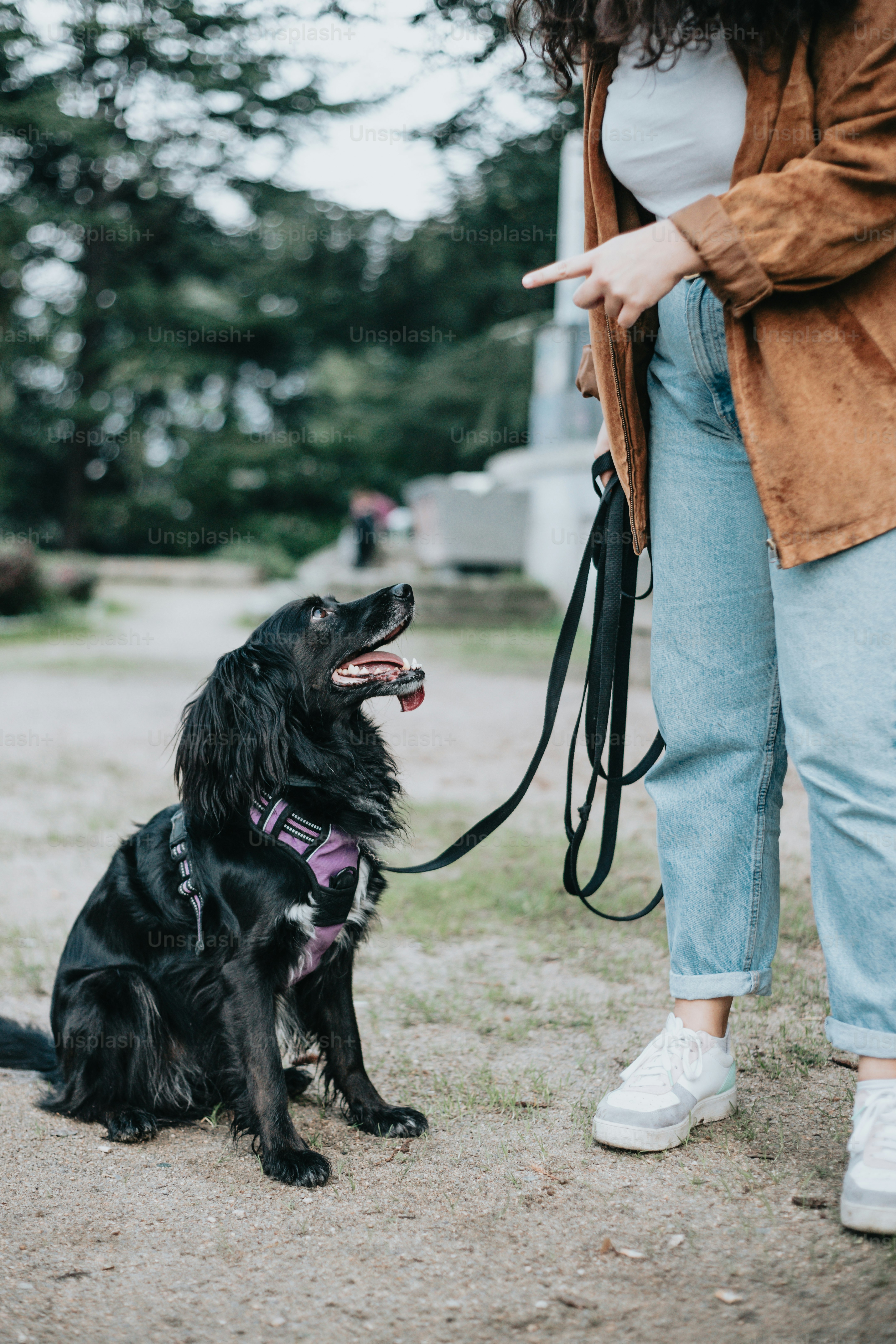 a black dog sitting on a leash next to a woman
