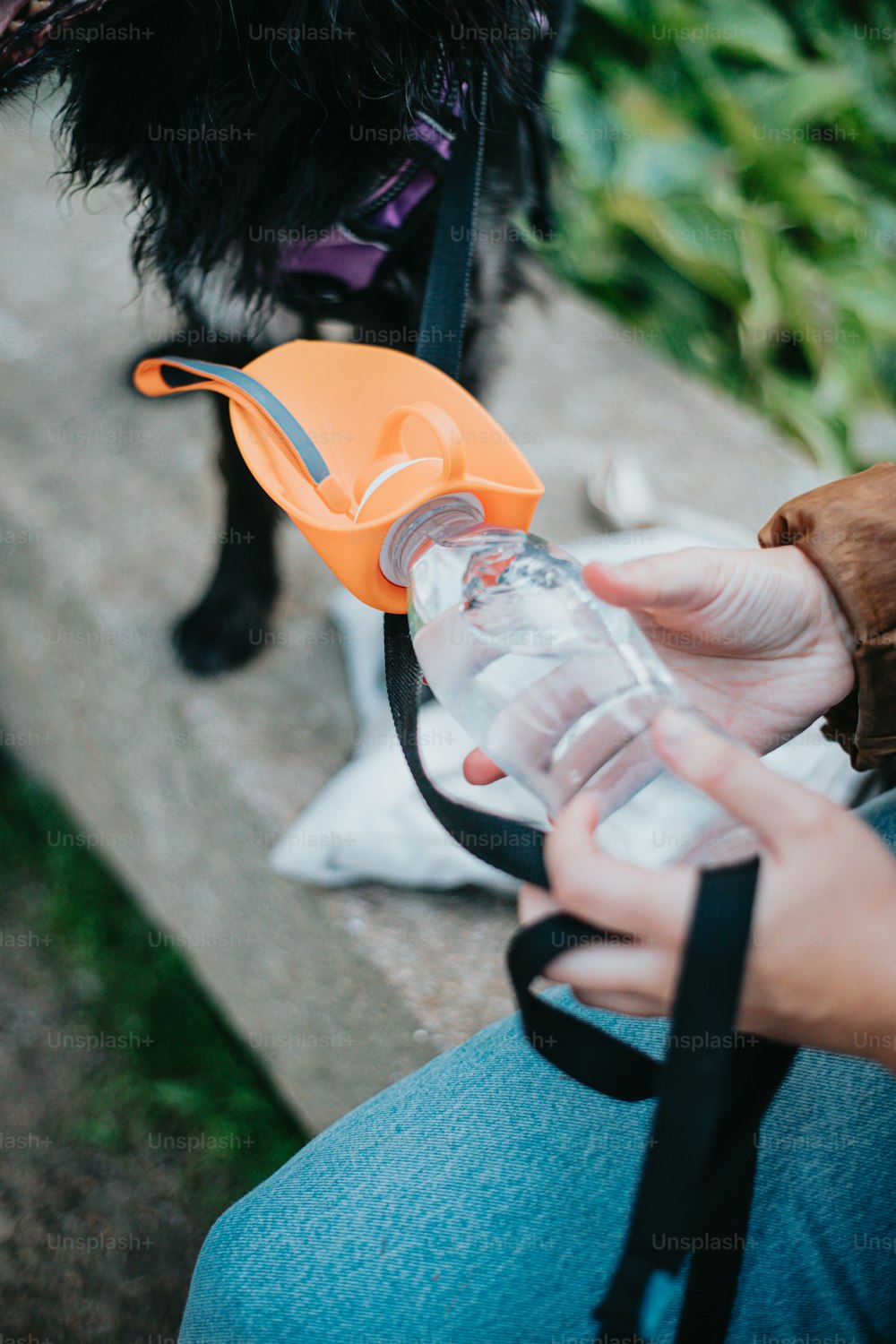 a black dog standing next to a person holding a water bottle