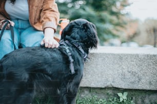a woman sitting on a bench petting a black dog