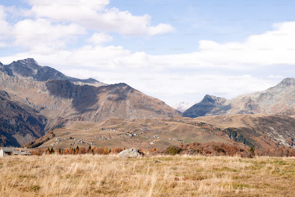 a grassy field with mountains in the background