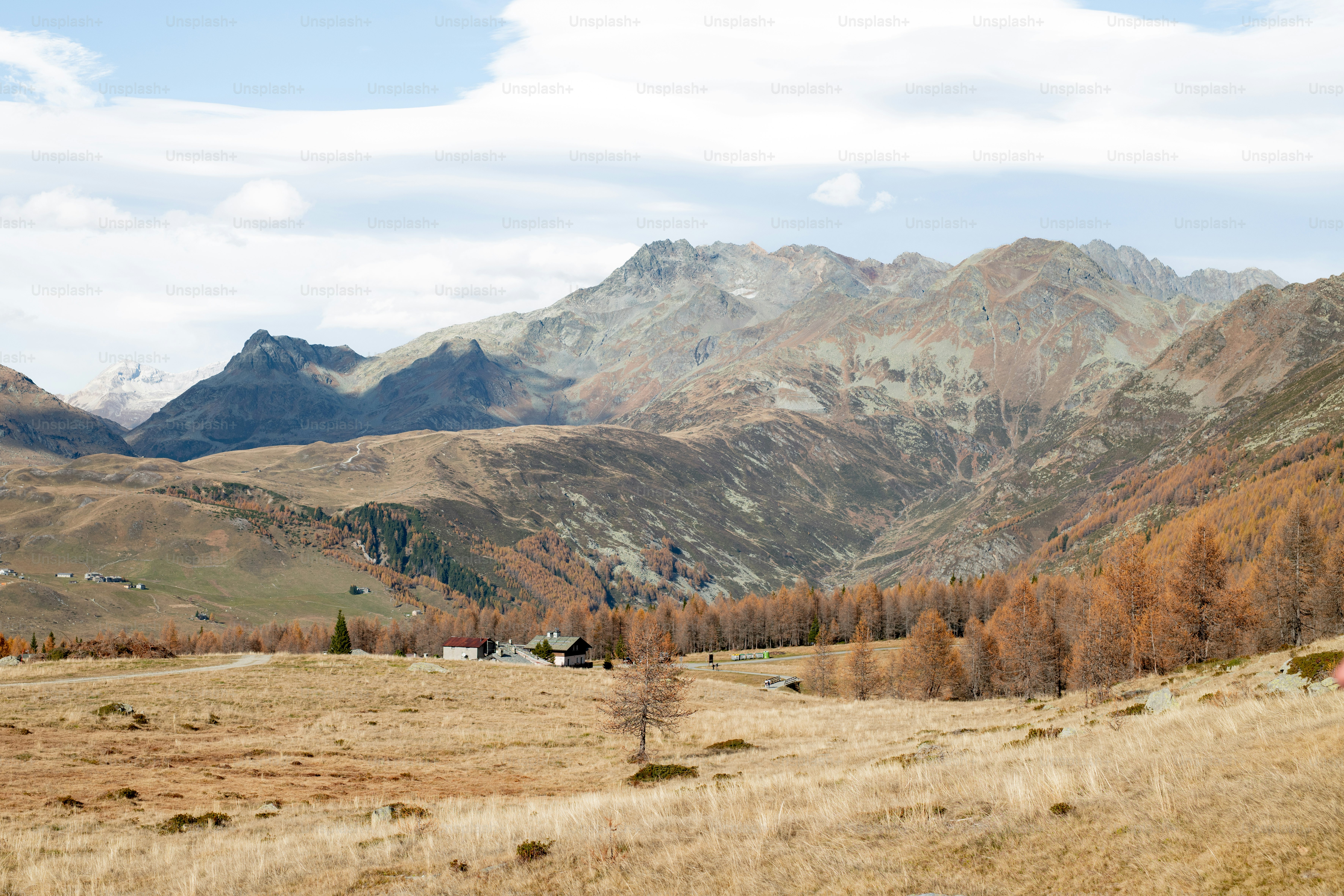 a grassy field with mountains in the background