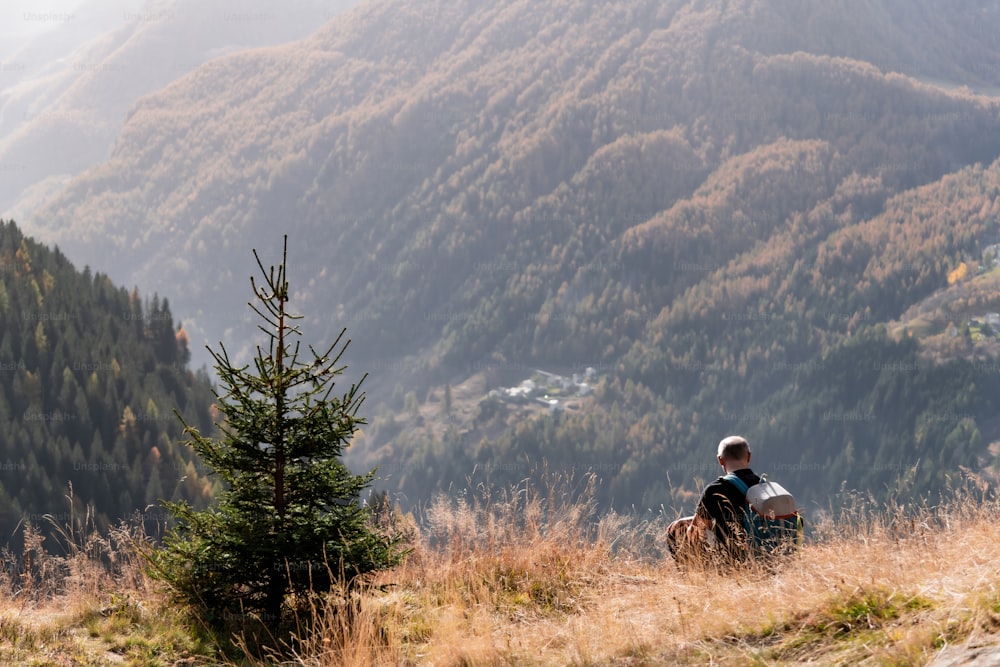 Un hombre sentado en la cima de una colina junto a un árbol