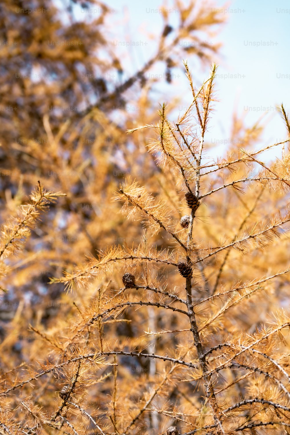 a bird perched on top of a tree branch