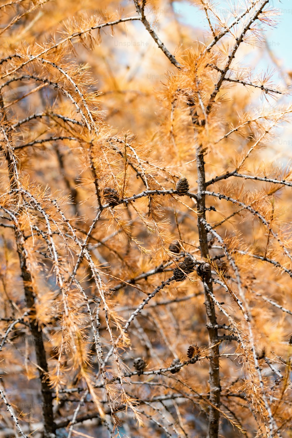 a bird is perched on a tree branch