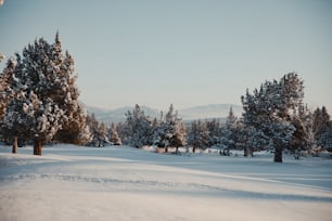 a snow covered field with trees and mountains in the background