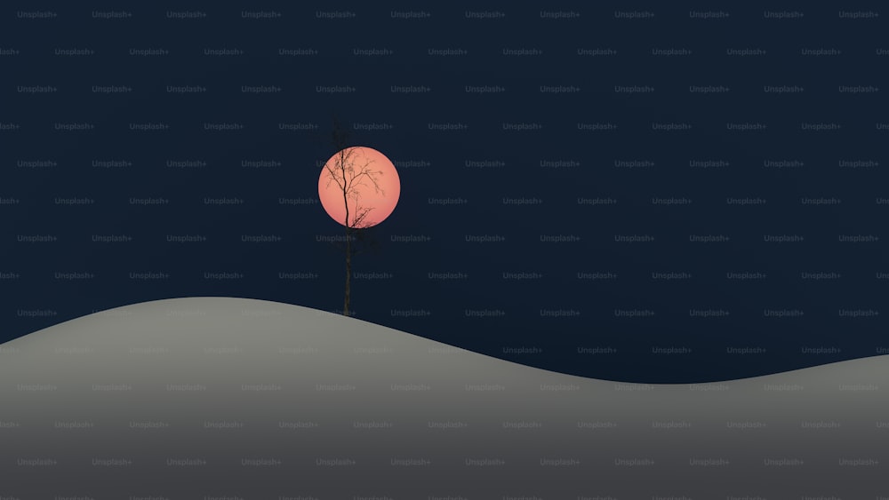 Un albero solitario nel cuore della notte
