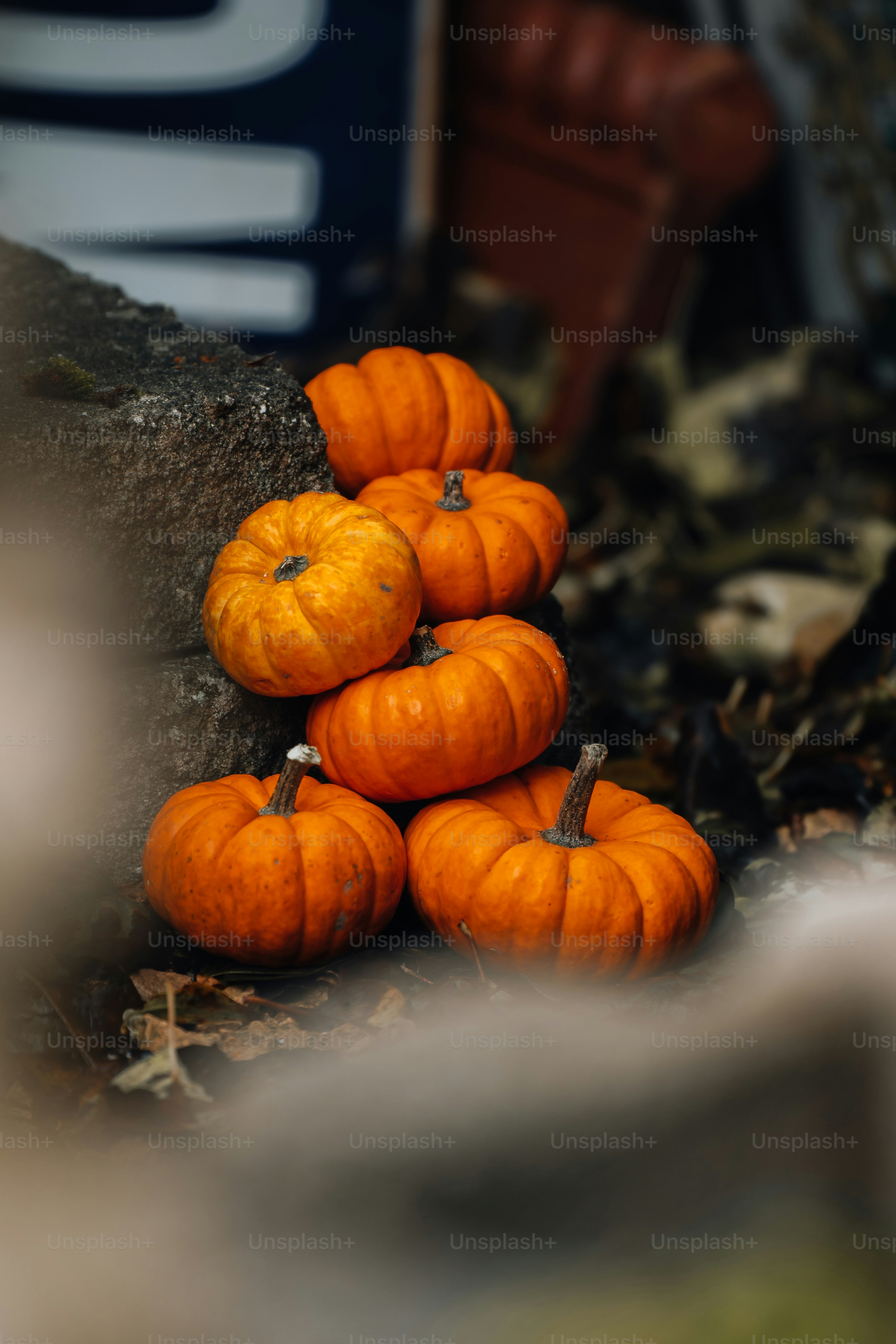 Une pile de citrouilles assises au sommet d'un rocher photo – Image de  Extérieur sur Unsplash, image size:3000x4496