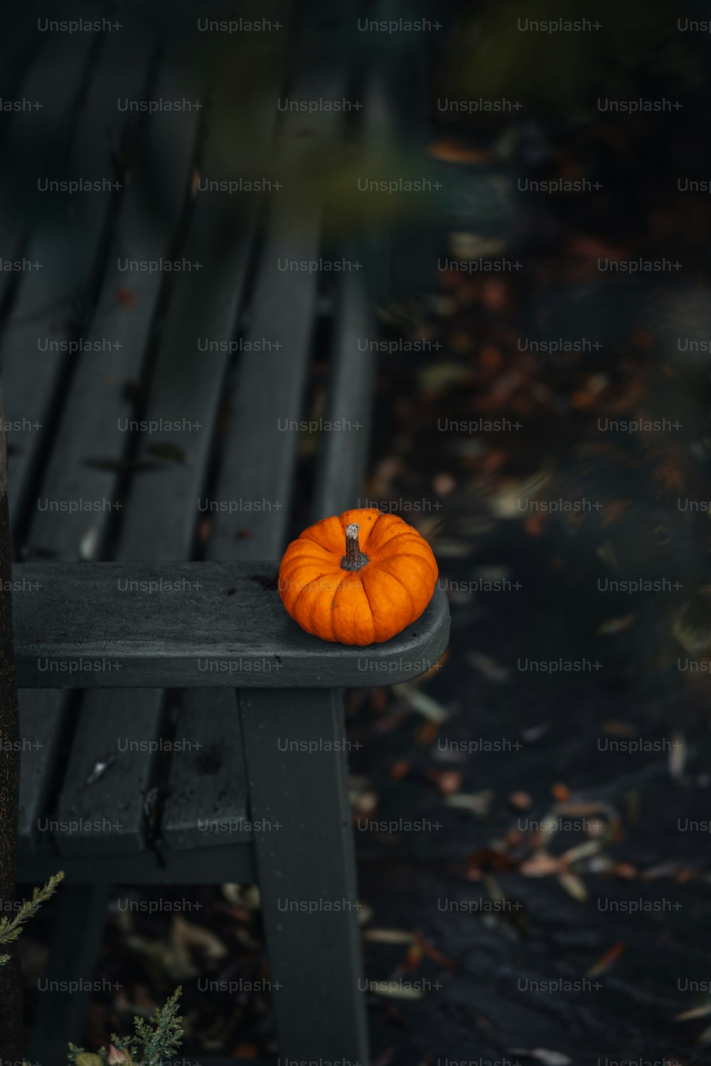 a small orange pumpkin sitting on top of a wooden bench
